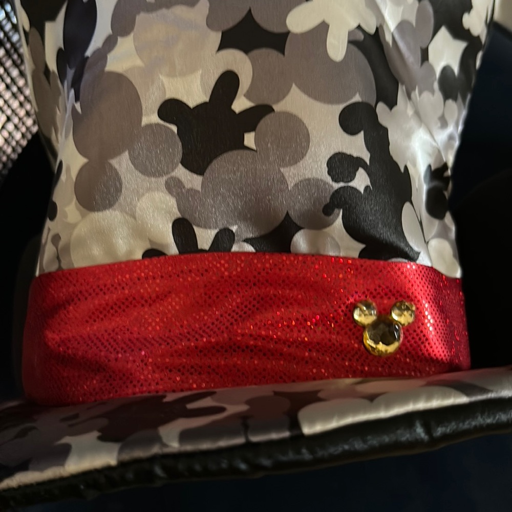 Mickey Mouse top hat / Tokyo Resort